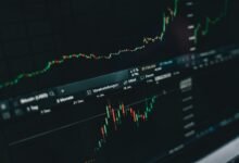 market performance insights revealed