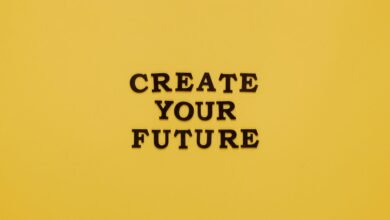 stalacorpo s future success potential