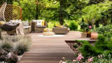 How to Transform Your Backyard with Luxury Landscaping Ideas